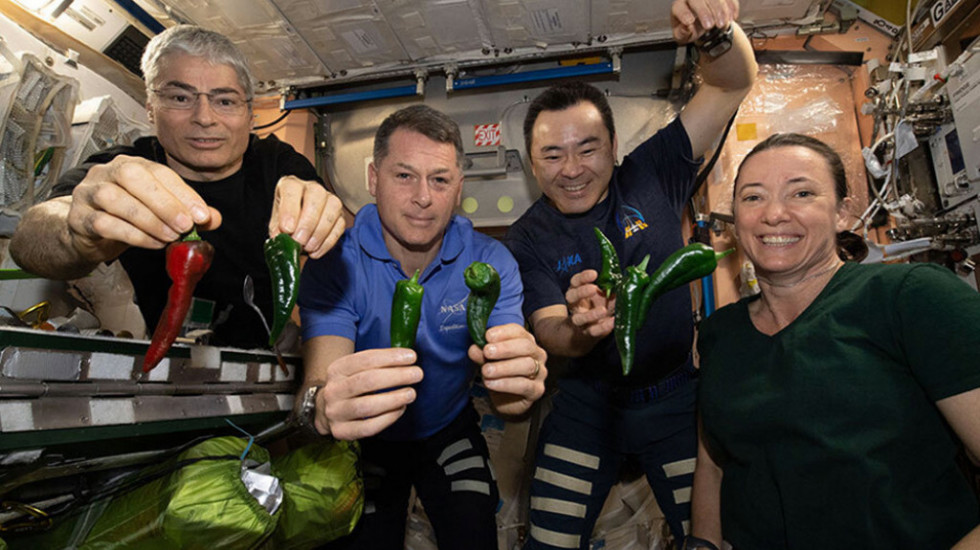 Pokvaren toalet u SpaceX kapsuli, astronauti moraju da koriste pelene tokom povratka na Zemlju