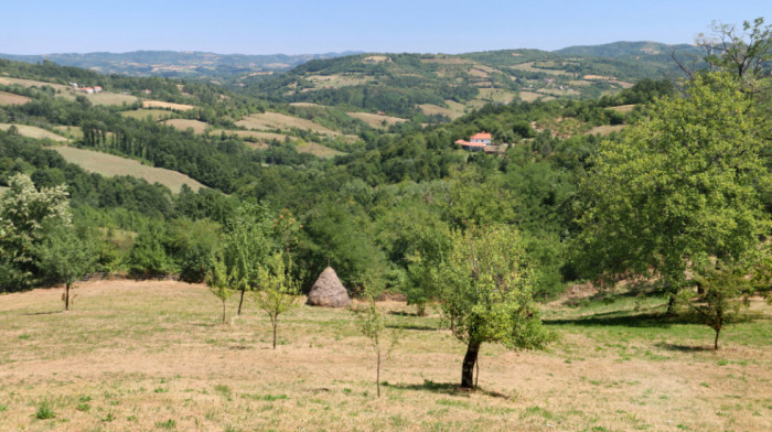 U zakup se nudi zemlja u Vranju, Valjevu, Surdulici i Bojniku