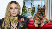 Najbogatiji pas na svetu prodaje nekadašnju Madoninu kuću