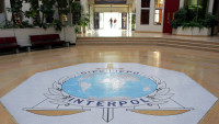 Interpol pozvao na borbu protiv onlajn zlostavljanja dece
