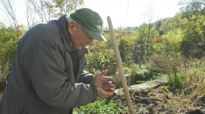Radoslav je možda najneobičniji farmer u Srbiji: Umesto krava i ovaca, uzgaja "male vredne radnike" koji proizvode humus