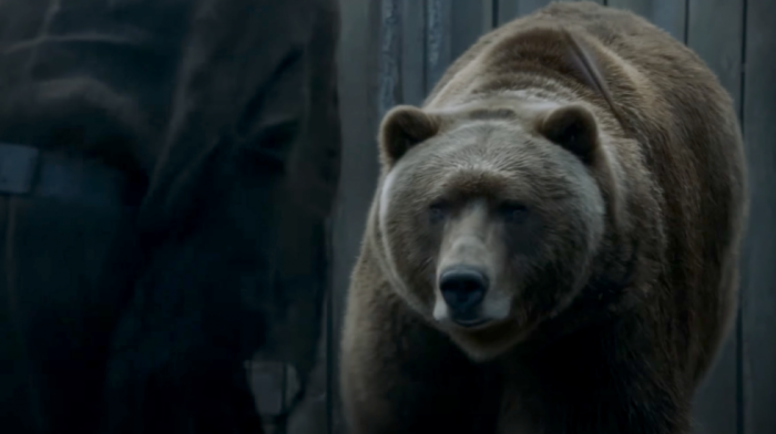 Medvedi u Karpatima prekidaju zimski san zbog izuzetno toplog vremena