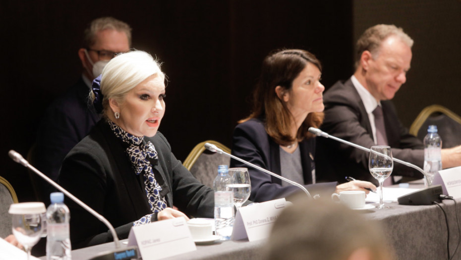 Mihajlović na sastanku Ministarskog saveta Energetske zajednice: Klimatski izazovi su najvažnija tema u energetici