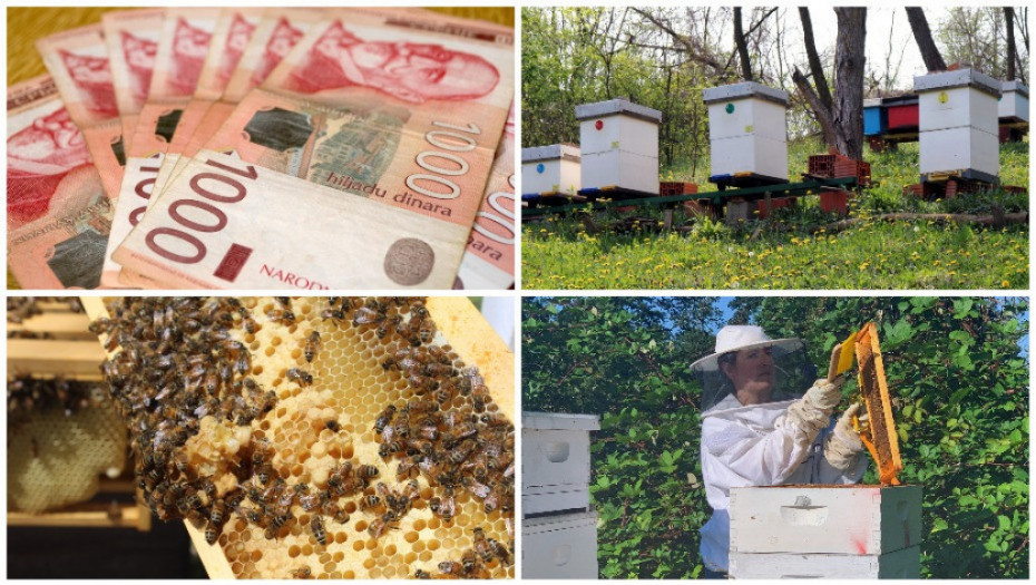Subvencije slađe od meda: U strukovnom udruženju tvrde da ima 5.000 lažnih pčelara i 300.000 nepostojećih košnica