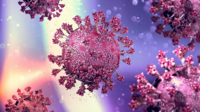 "Deca, unuci i praunuci omikrona": SZO nadzire nove varijante koronavirusa, koliko su opasni "Eris" i "Pirola"