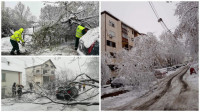 Obrušeno drveće i grane na kolovozu: Sneg doneo i scene kakve mnogi ne pamte - šta je uzrok i kome prijaviti problem