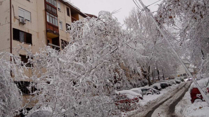 Palo drvo na Karaburmi i blokiralo saobraćaj: Uništena dva i oštećeno treće vozilo