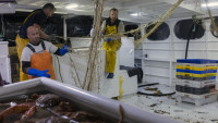 I dalje bez rešenja za problem ribolova, Francuska od EU traži pokretanje spora protiv Velike Britanije