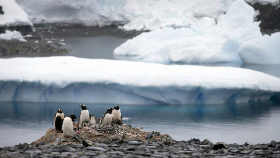 Dostignuta najniža vrednost antarktičkog leda