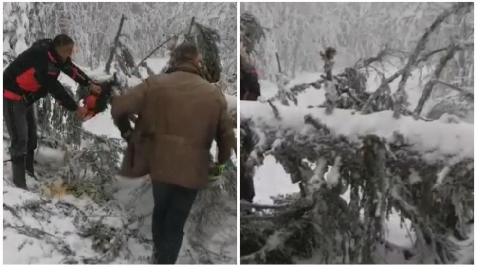 Zavejana sela u opštini Nova Varoš, mećava čupala drveće iz korena