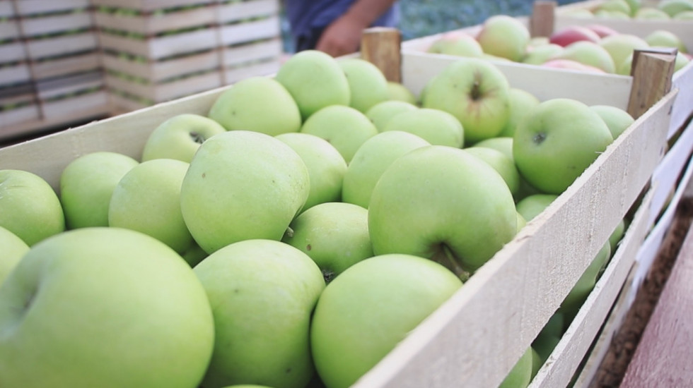 Rod jabuka dobar, ali postoji negativan trend u potrošnji - proizvođači se žale da ljudi ne jedu dovoljno ovog voća