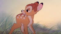 Originalna priča o "Bambiju" mnogo je tužnija od poznatog Diznijevog crtaća