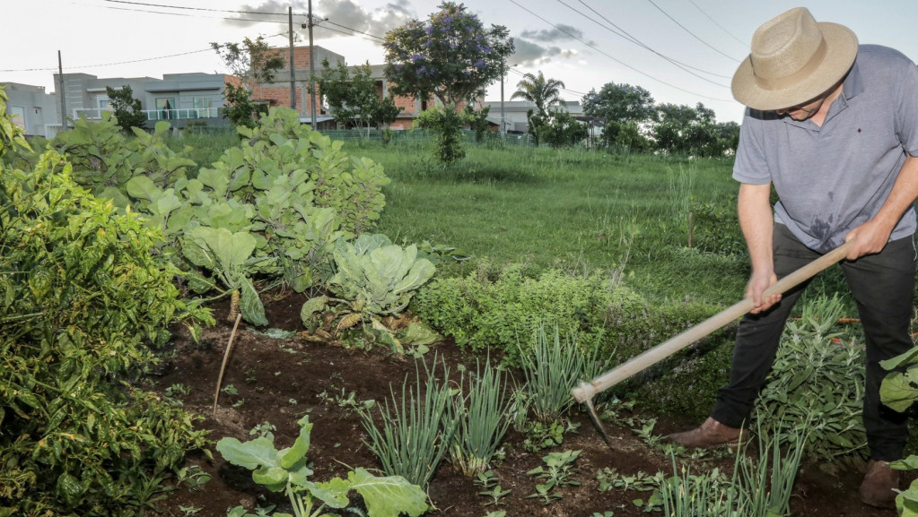 Novi Zakon o organskoj proizvodnji - kako će drugačiji sistem nadzora uticati na proizvođače i kupce?
