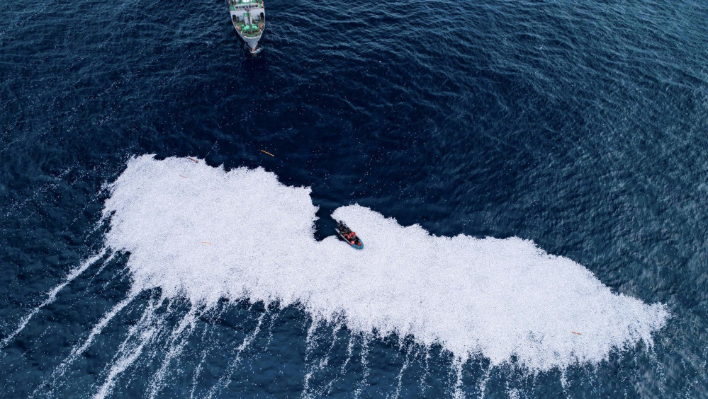 Holandski brod  izbacio više od 100.000 uginulih riba u Atlanski okean