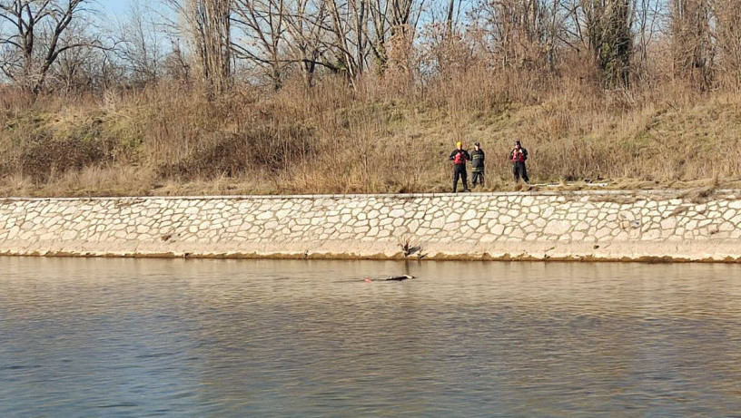 Pronađeno telo u Nišavi, policija i tužilaštvo na terenu