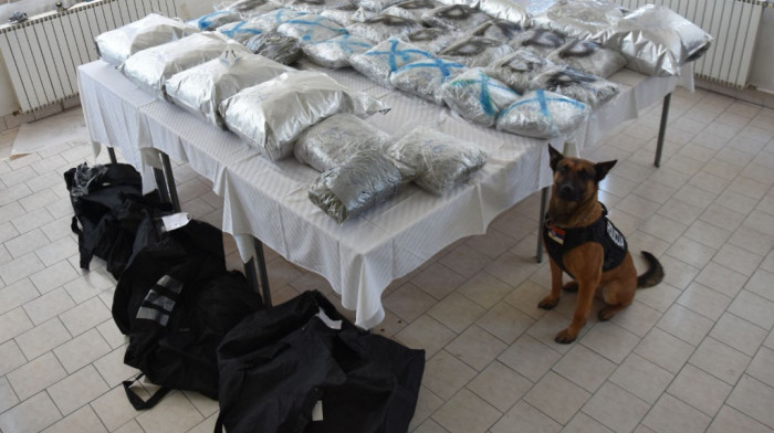 MUP: Kod Novog Pazara uhapšeni državljani Srbije i Crne Gore, zaplenjeno 63 kilograma marihuane
