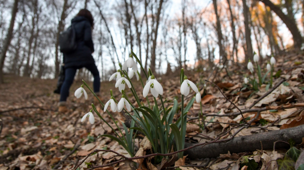 Proleće počelo danas u 16.33: Prvi dan sunčan, ali hladan - kada će u Srbiju stići i prolećne temperature