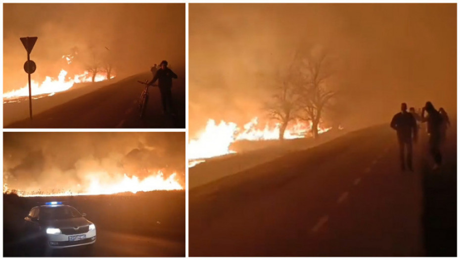 Ugašen veliki požar kod starog ribnjaka u Futogu, gorelo sedam hektara niskog rastinja