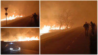 Vatrogasci se i dalje bore da ugase požar u Vojvodini: Gori sedam hektara, dramatični prizori s lica mesta
