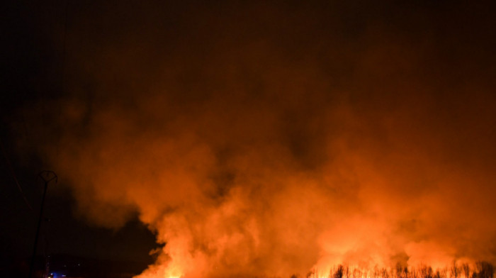 Veliki požar na albanskom ostrvu Sazan, ugrožene stotine hektara šume