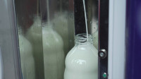 Mlekare u Austriji najavljuju obustavu isporuke: Raste cena mleka i mlečnih proizvoda