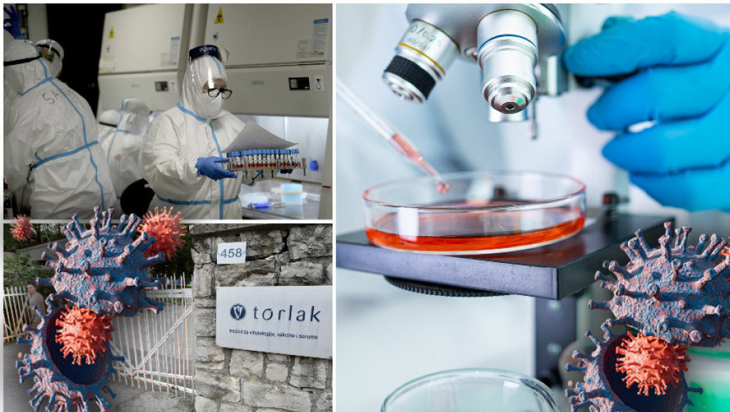 "Torlak" proizveo domaću vakcinu protiv gripa: Institut paralelno radi i na mRNA tehnologiji za onkološke pacijente
