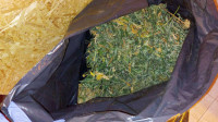 Zaplenjeno više od 15 kilograma marihuane u Sremskoj Mitrovici, uhapšene tri osobe