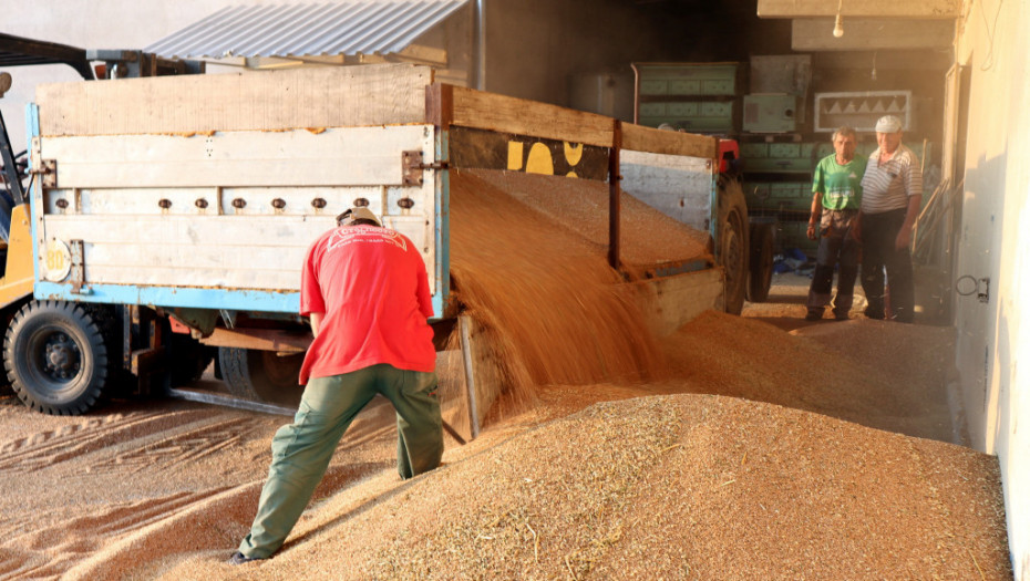Vlada Srbije odobrila prodaju pšenice i kukuruza u Albaniju - osnov su raniji ugovori pre zabrane izvoza