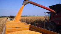 Dogovor ministara: Srbija diže rampu za izvoz žitarica u Severnu Makedoniju