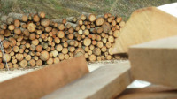 Srbijašume: Prodavci će morati da "prikoče" sa poskupljenjem, cene peleta i drveta su neopravdano visoke