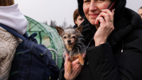 Evropske telekom kompanije smanjile cene rominga za Ukrajinu