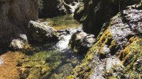 Veliki broj posetilaca može biti opasnost po prirodu: Banjski potok dobija određeni stepen zaštite