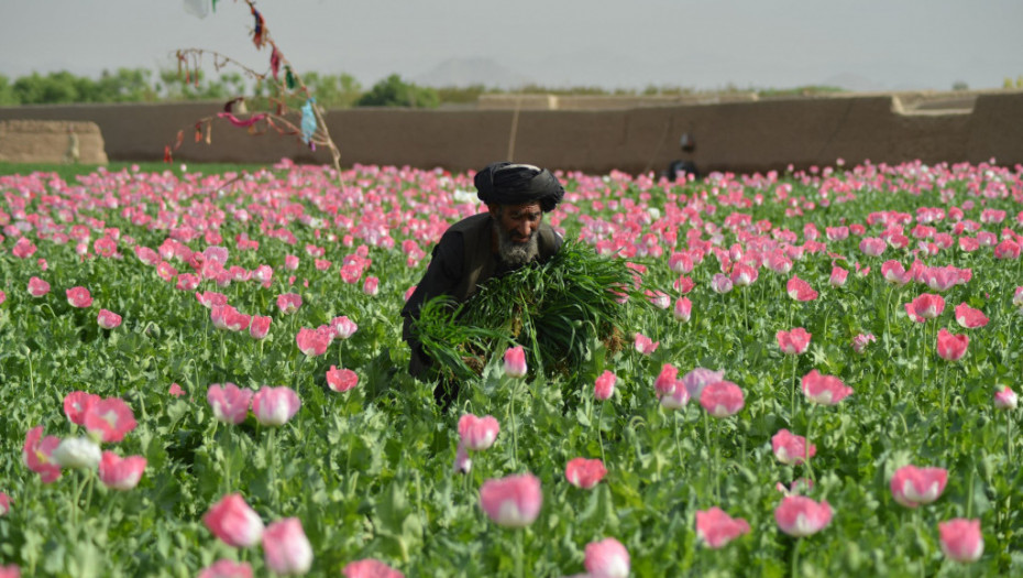Avganistan zabranio gajenje opijumskog maka: Prekršiocima će se suditi po šerijatu