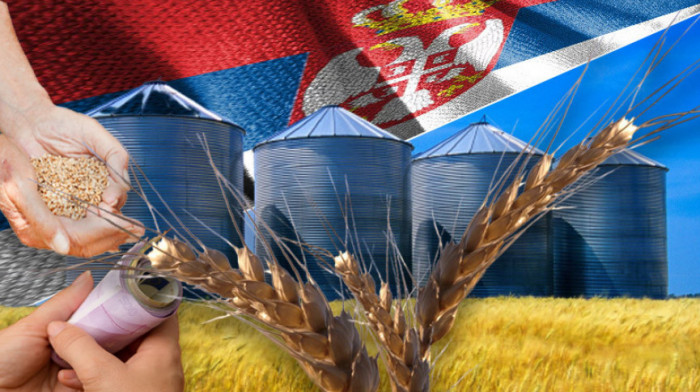 Vlada Srbije povećala kvote za izvoz brašna i pšenice: Neophodno oslobađanje skladišta za novi rod