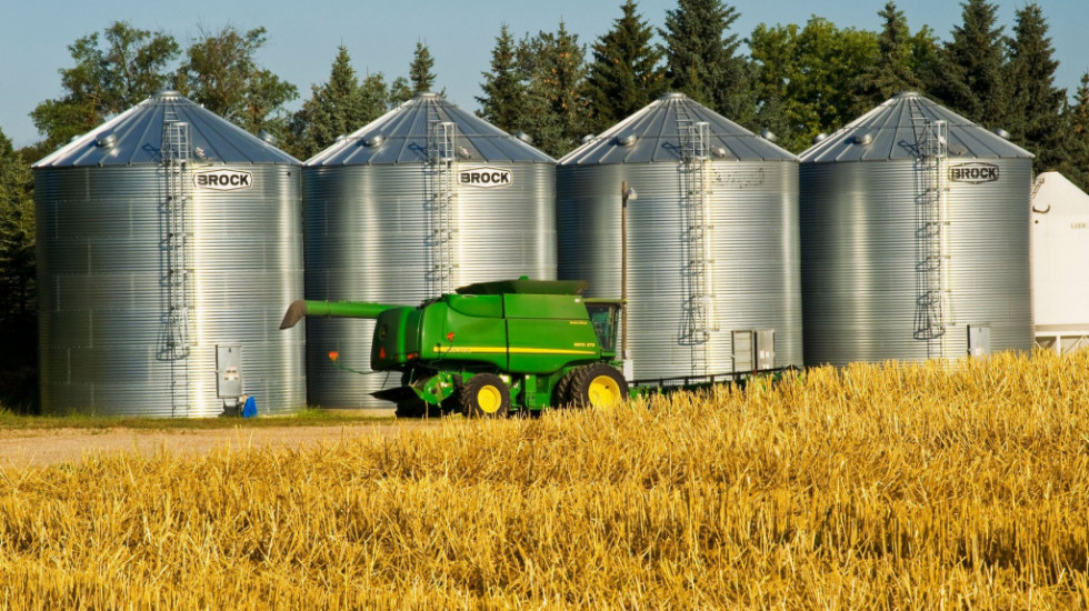 Produktna berza: Pšenica skuplja šest, a kukuruz više od tri odsto
