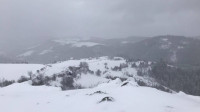 "Gledamo u nebo i strepimo od mraza": Na Goliji palo više od 20 centimetara snega, malinari strahuju za rod