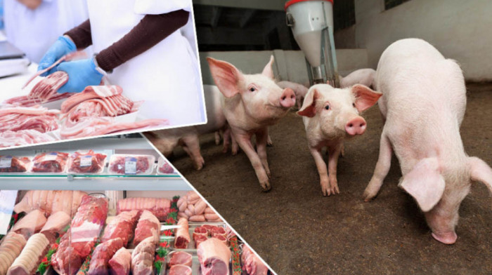 Uzgajivači svinja tvrde da su na ivici opstanka - u raskoraku između skupe stočne hrane i niske otkupne cene tovljenika