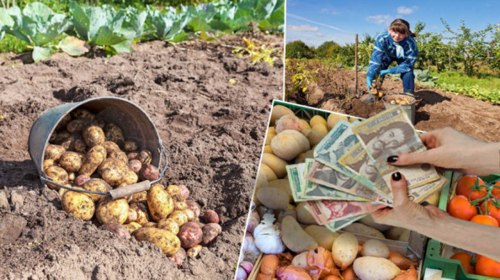 I visoke cene povrća uticale na inflaciju - smanjena proizvodnja i slab rod digli cenu krompiru za 130 odsto