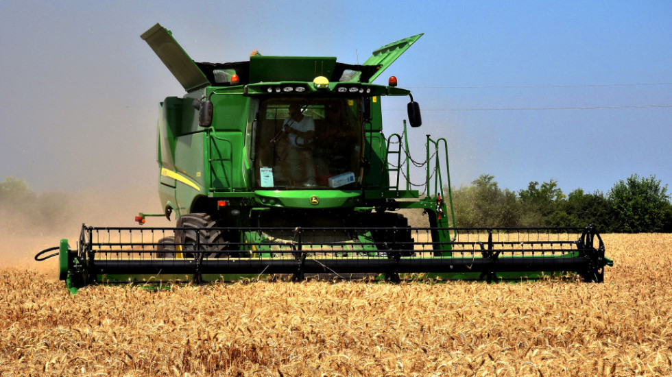 Vlada Srbije otkupljuje 131.000 tona pšenica: Kakvi su uslovi i ko može da konkuriše?