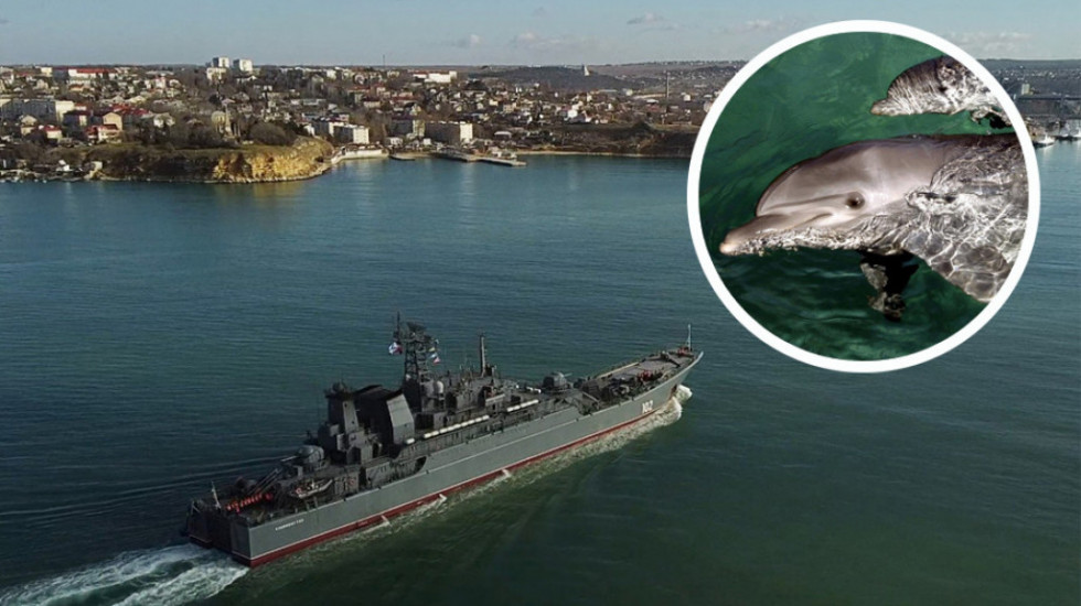 Satelitski snimci pokazuju da je Rusija poslala vojne delfine u bazu u Crnom moru - koja je njihova poenta?