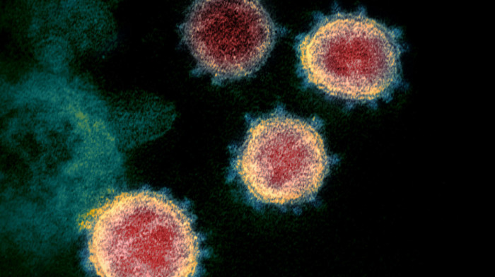 BiH ukinula stanje prirodne ili druge nesreće zbog koronavirusa