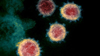 Šta za sada znamo o hibridnoj XE varijanti koronavirusa nastaloj od dva soja omikrona?