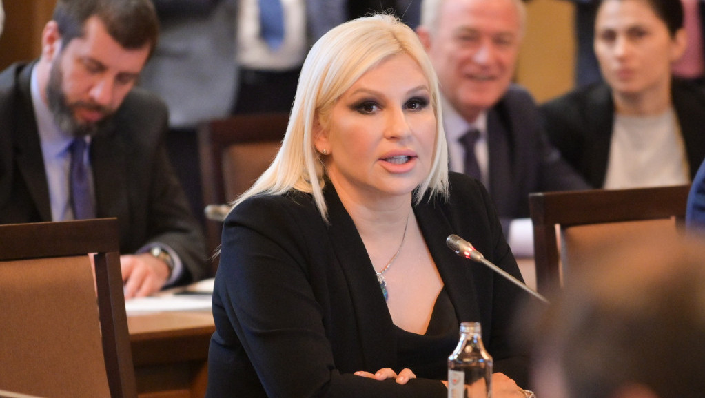 Mihajlović na ministarskom sastanku u Sofiji: Više dobavljača gasa jedina šansa za energetsku bezbednost