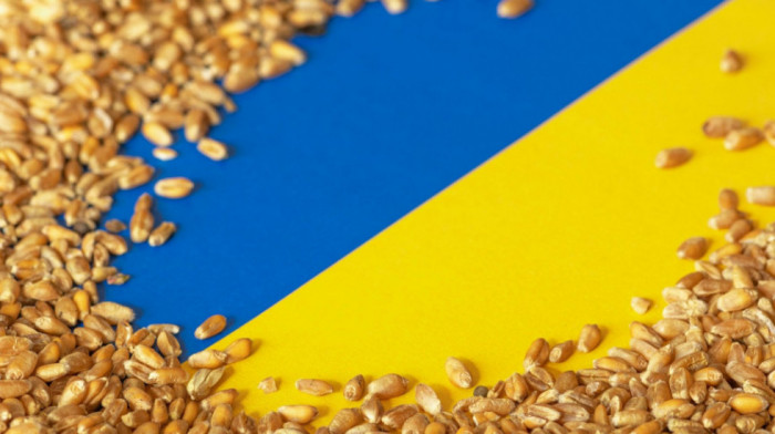 Ukrajina uspostavila dve rute za izvoz žitarica: Otvoreni koridori preko Poljske i Rumunije