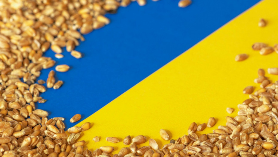 EU upozorava: Ne kupovati od Rusije kradeno ukrajinsko žito