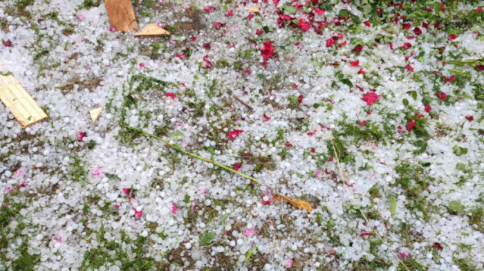 Nezapamćeno nevreme pogodilo Arilje: Grad veličine oraha opustošio malinjake