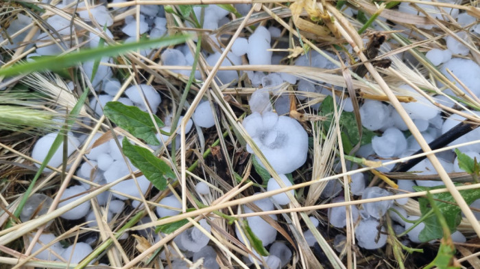 Jako nevreme pogodilo Ivanjicu, velika šteta naneta malinjacima