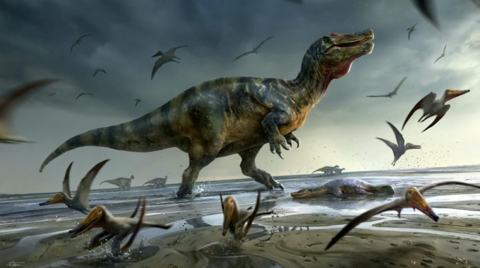 Pronađeni ostaci najvećeg kopnenog dinosaurusa u Evropi