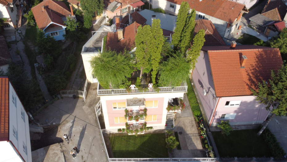 Atrakcija u Pirotu:  Pekar napravio park na krovu kuće u kojem rastu žalosne vrbe, tuje, dunje i kruške