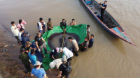 Džin od 300 kilograma - najveća dokumentovana slatkovodna riba pronađena u reci Mekong